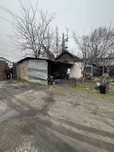 Кыймылсыз мүлк: 29 соток, Кызыл китеп — 10