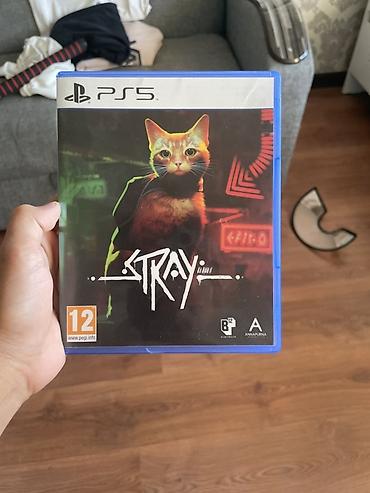 ufc ps5: Игра Stray для PlayStation 5 (дисковая версия) - Платформа: PS5 — 2