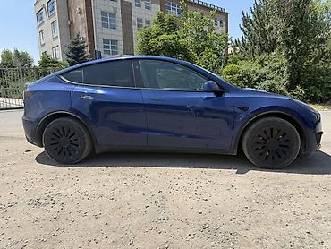 tesla p40: Tesla Model Y: 2024 г., Электромобиль, Кроссовер — 3