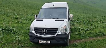 sprinter 2 2: Mercedes-Benz Спринтер: 2014 г., 3.2 л, Автомат, Дизель, Фургон — 6