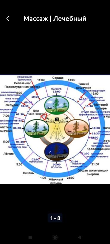 масаж кара балта: Массаж | Дарылоочу | Бүкүрөйгөндүк, тышкы келбеттин бузулушу