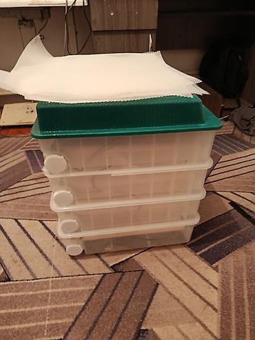 Инкубаторы: Полностью автоматический инкубатор для яиц с цифровым управлением — 2