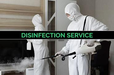 160: Дезинфекция, дезинсекция, | Тараканы, | Дома, Кафе, магазины, Квартиры — 4