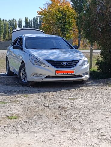 hyundai sonata y20: Hyundai Sonata: 2010 г., 2 л, Автомат, Газ, Седан