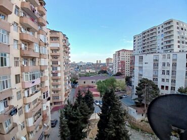 Yeni tikili: 3 otaqlı, Yeni tikili, 100 kv. m -da lalafo.az — 13 Yeni tikili: 3 otaqlı, Yeni tikili, 100 kv. m — 13