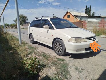 продаю хонда адиссей: Honda Odyssey: 2000 г., 2.3 л, Типтроник, Бензин, Вэн/Минивэн