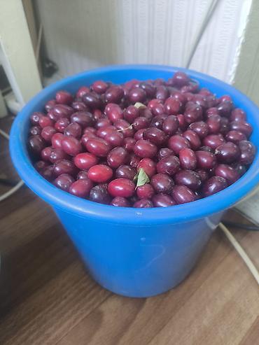 Кондитерские изделия, сладости: Фруктовая пастила Яблоко 🍏. Натуральная, без красителей, сушка в — 22