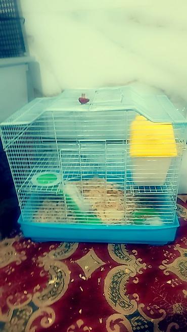 Зоотовары: Клетки очень дешево. распродаю остатки. цены от 500 до 1200 сом — 5