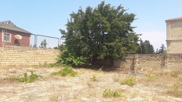 Torpaq sahələrinin satışı: 32 sot, Tikinti, Maklerlər narahat etməsin, Kupça (Çıxarış) — 14