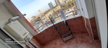 Uzunmüddətli kirayə mənzillər: Nərimanov metrosu Layf centrdə 16 mərtəbəli binanın 7-ci mərtəbəsində -da lalafo.az — 9 Uzunmüddətli kirayə mənzillər: Nərimanov metrosu Layf centrdə 16 mərtəbəli binanın 7-ci mərtəbəsində — 9