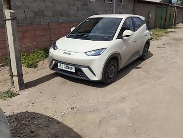 маленькие электро машины: BYD Seagull: 2025 г., 2.2 л, Автомат, Электромобиль, Хэтчбэк — 2