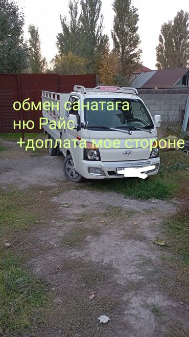 трейлер кемпер: Hyundai Porter: 2019 г., 2.5 л, Автомат, Дизель, Van
