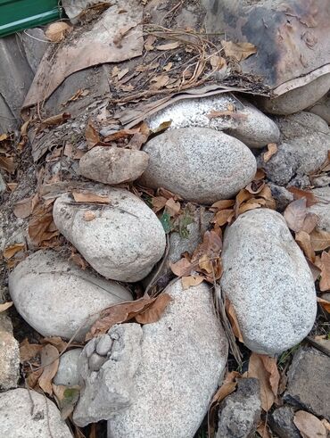 строительный матирал: Бесплатно. Камни для стройки. Самовывоз