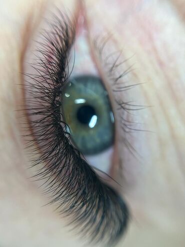 Ресницы: Ресницы, Голливуд, Классика, 2D, Требуются модели — 8