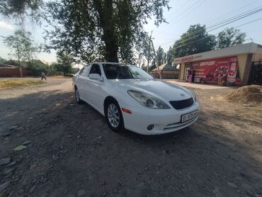 tayota runx: Toyota Windom: 2005 г., 3 л, Автомат, Газ, Седан