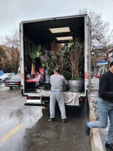 Oyuncaqlar: Yük daşıma. Butun bolgelerimize ve Baki sheherinde Istenilen nov — 7