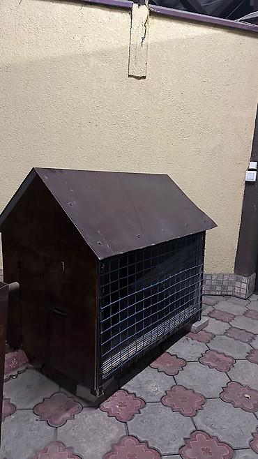 конура для собак: Продаю дом для собаки — 1