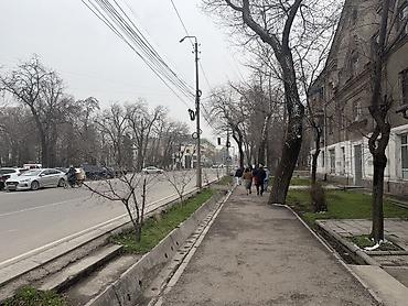 Аренда помещений свободного назначения: Сдается в аренду коммерческое помещение в центре города Бишкек по Ул — 2