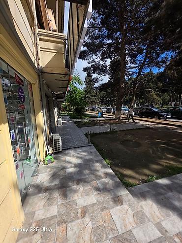 minon yumşaq oyuncaqlar: Icareye verilir 600 bu abyekt qalmıyacaq z düz Xırdalan Heydər — 4