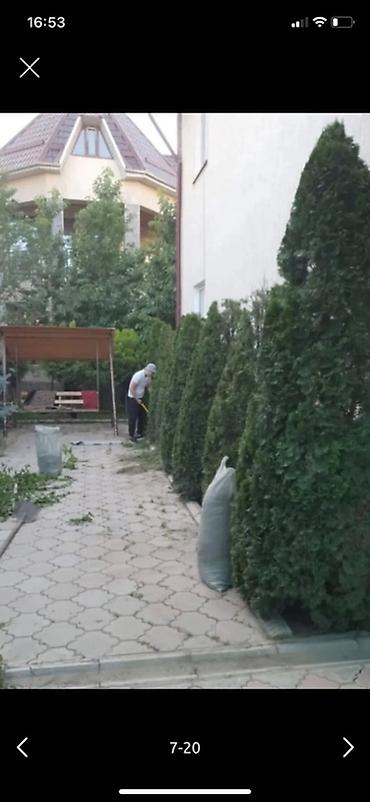 Продажа домов: 6 комнат и более, 420 м², 6 соток, Бишкек, Арча-Бешик ж/м Собственник — 6