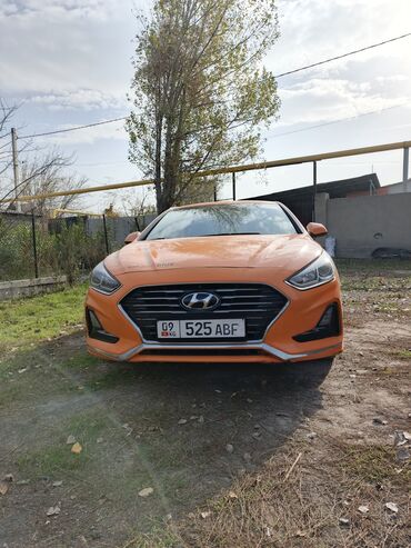 крыло на цивик: Hyundai Elantra: 2018 г., Газ, Седан