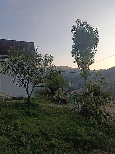 Günlük kirayə evlər: 110 kv. m, 4 otaqlı — 16