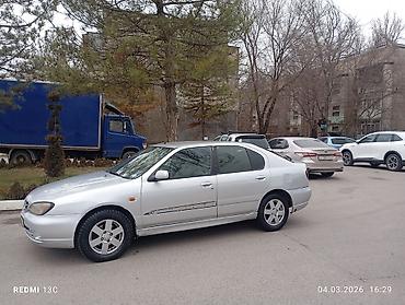 Nissan: Nissan Primera: 2001 г., 1.6 л — 10