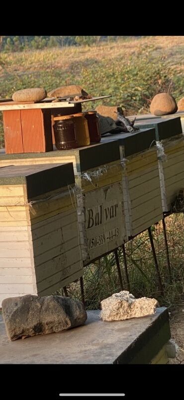 Bal: 100% Tam Təbii kend balı - Arı şanı ilə süzülme bal: kəsimdən — 4