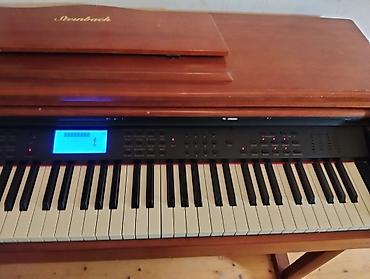 Клавишные инструменты: Steinbach rəqəmsal piano – klassik mebel korpusu ilə - Marka/model — 10