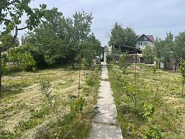 Дома: 🔥 Срочно продается участок с домом в Новопокровке 📍 Локация — 4
