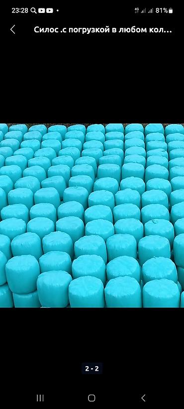 Корма для с/х животных: Кукурузный силос 7 сом + доставка сенаж 8000 сом + доставка качества — 6