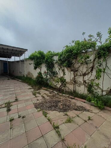 Bağ evlərinin satışı: Sumqayıt, 242 kv. m, 11 otaq, Hovuzsuz, Su — 7