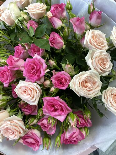 где купить обручальные кольца недорого: Сегодняшние розы кустовые. Цена договорная