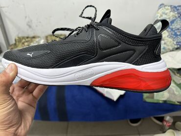 Кроссовки и спортивная обувь: Кроссовки, 43, 44, Puma, Новый, цвет - Черный, Самовывоз