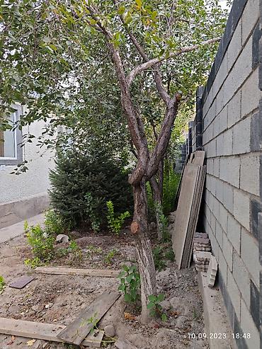 Продажа коттеджей и домов: Продам частный дом! Район: Начало ул. Шералиева Ул. Бишкек-125 — 30