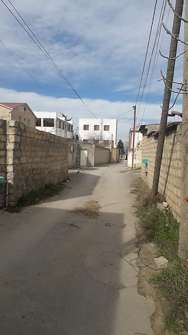 goredil: 5 sot, Tikinti, Mülkiyyətçi, Kupça (Çıxarış) — 1