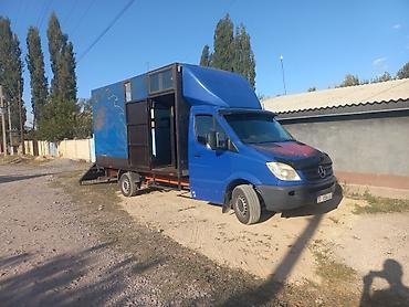 Оборудование для бизнеса: Mercedes-Benz Sprinter, переоборудованный под мобильный — 2