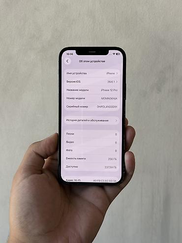 айклауде: IPhone 12 Pro, Б/у, 256 ГБ, Pacific Blue, Чехол, 90 % — 3