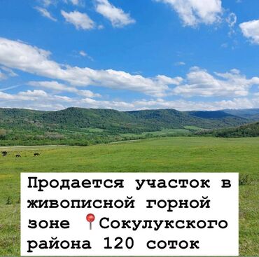 Недвижимость: 120 соток, Для бизнеса, Красная книга