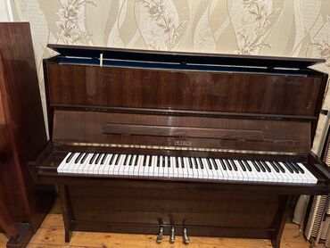 Pianolar: Piano, Petrof, Akustik