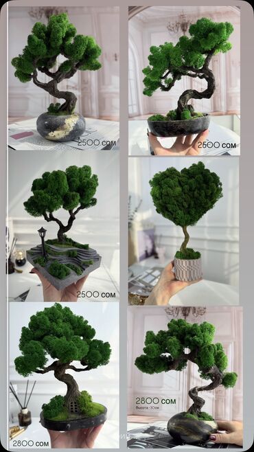 Декоративные цветы: Деревья-бонсай из натурального стабилизированного мха🌳 -это — 51
