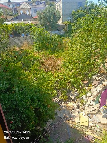 nzs: 4 sot, Biznes üçün, Barter mümkündür, Müqavilə — 2