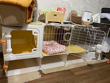 кролик бишкек: Домик для животных,(кролик; кошек и т.д ) Есть все необходимые вещи — 3