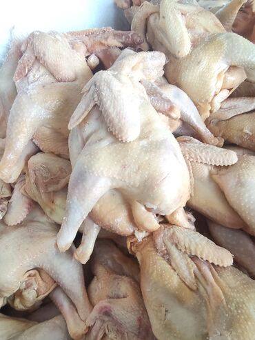 куда сдать мясо бройлера: Тоок :, Акысыз жеткирүү