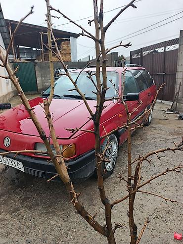 бампер пассат б5: Volkswagen Passat Variant: 1987 г., Кол менен иштөөчү, Бензин, Универсал — 3