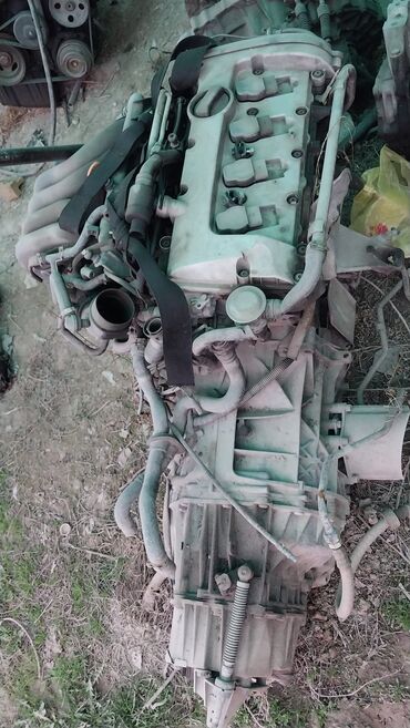 двигатель на фольксваген поло: Бензиновый мотор Volkswagen 2003 г., 2 л, Б/у, Оригинал, Германия