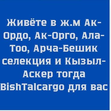 Другие услуги: BishTalcargo1 с нами выгодно! Мы доставим ваш груз с Китая всего за