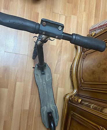 scooter 2. el: Scooter — 3