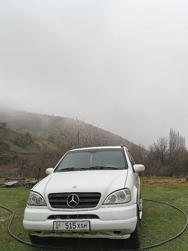 Mercedes-Benz: Mercedes-Benz M-Class: 1998 г., 3.2 л, Автомат, Газ, Внедорожник