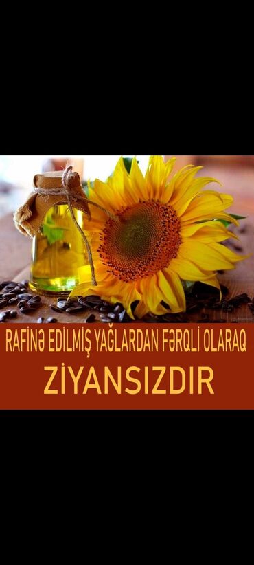 fındıq yağının faydaları: Təbbi Soyuq Sıxım Semiçka yağı.Rafinə olunmamış,Qoxusuz,Təbii və